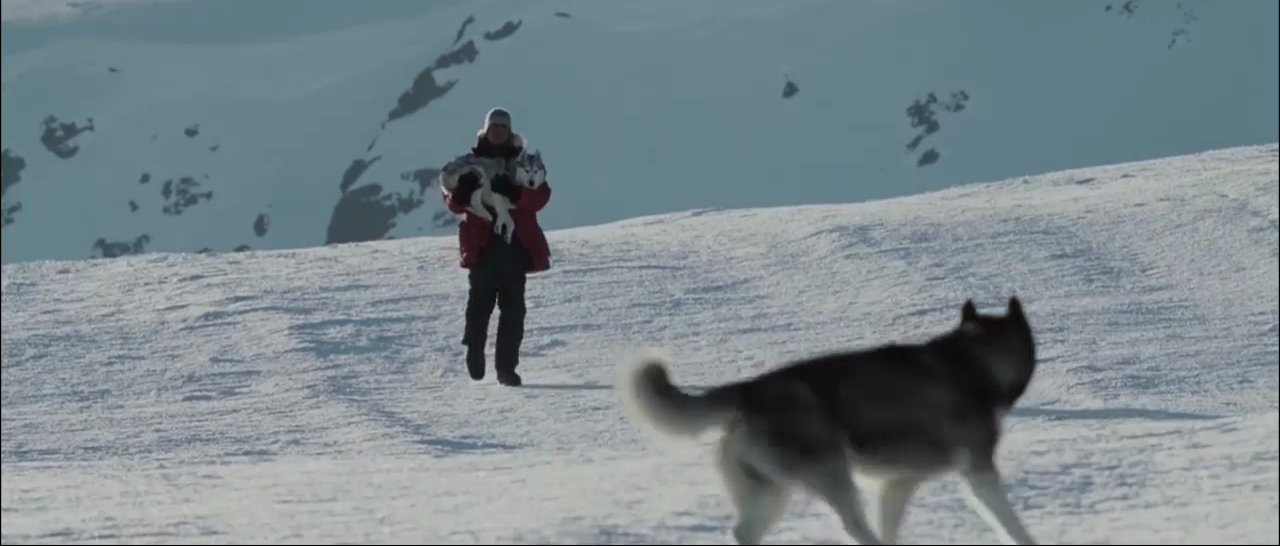 Eight Below Movie Download For Mobile